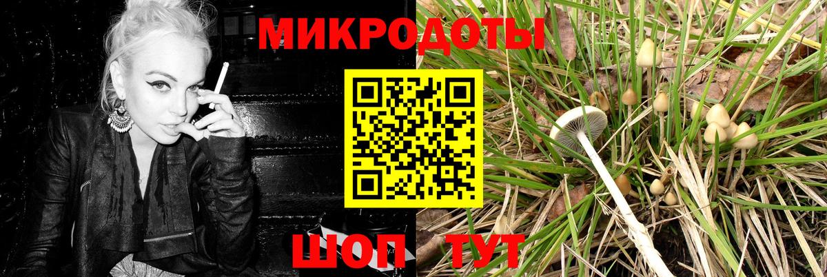 закладка  Псилоцибиновые грибы прущие грибы  Вход с VPN  Ялта  Псилоцибиновые грибы GOLDEN TEACHER 